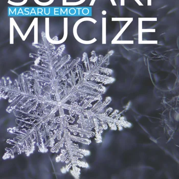 AY 12 Sudaki Mucize
