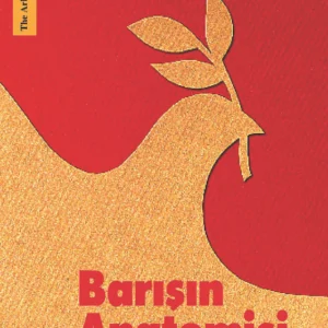 AY 3 Barışın Anatomisi