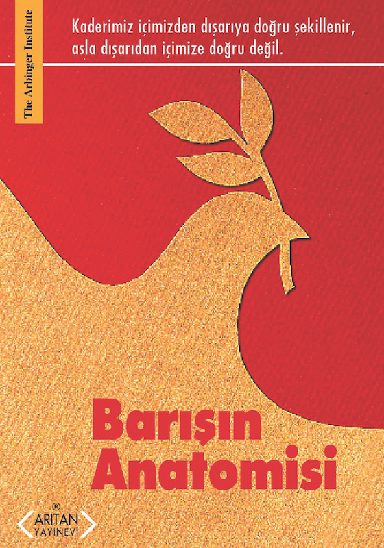 AY 3 Barışın Anatomisi