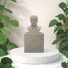 ata